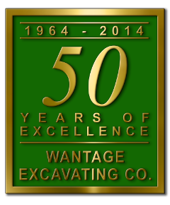 Graphic for 50 years in the business